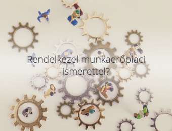 Main Page
